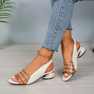 𝐔𝐧 𝐜𝐨𝐧𝐟𝐨𝐫𝐭 𝐢𝐧𝐞𝐠𝐚𝐥𝐞 𝐚 𝐜𝐡𝐚𝐪𝐮𝐞 𝐩𝐚𝐬